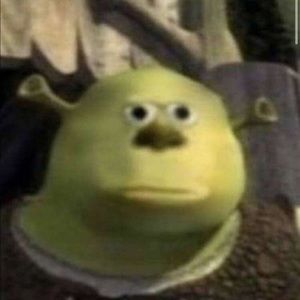 Meet your Posher, Rose